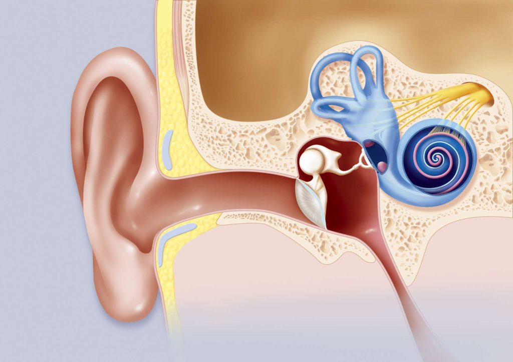 Is Tinnitus dangerous? Types, Causes, Diagnosis and Prevention of ringing noise in your ear